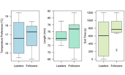 t-test, t = -0.47, -0.47, 1.68; p = 0.64, 0.64, 0.11; n = 16 leaders and n = 32 followers