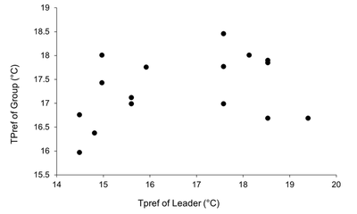 LM, R^2  = 0.12, p=0.20