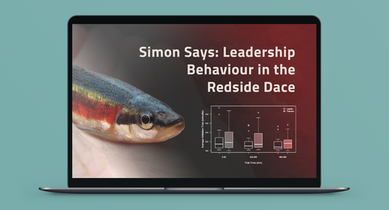 Simon Says; Leadership Behaviour in Redside Dace