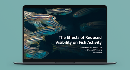 The Effects of Reduced Visibility on Fish Activity