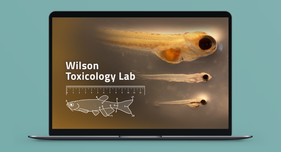 Wilson Toxicology Lab Projects